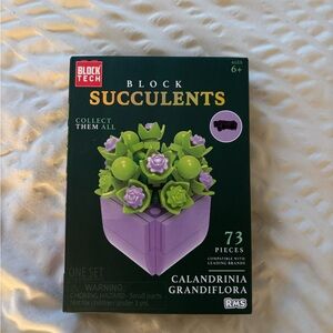 Succulents Set - Green and Purple